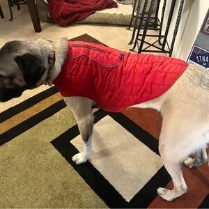 Red Dog Jacket